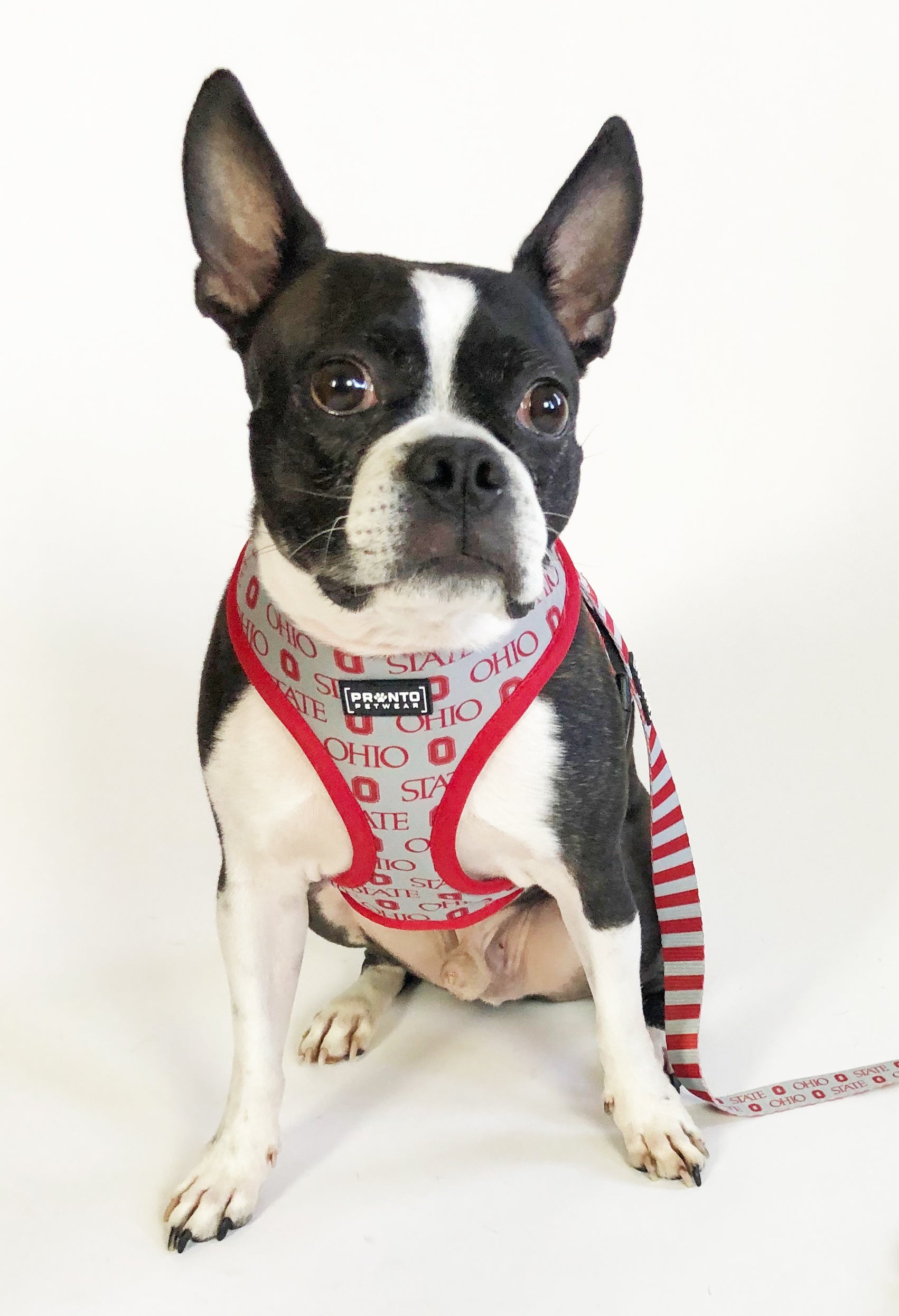 Ohio state sale dog harness